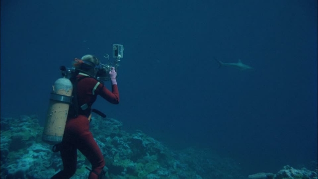  marine photography 